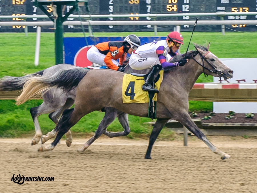 Iridesse winning at Delaware Park on 5/4/19